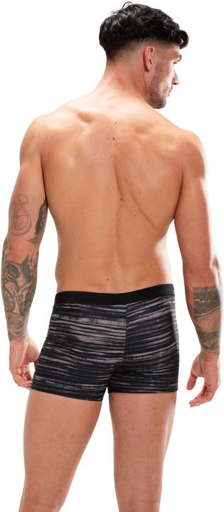 Actual product image Speedo Valmilton Aquashort (36)