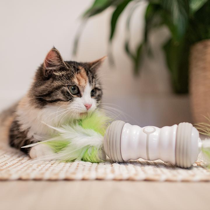 Actual product image EBI Cat chaser, 11x11x7.3 cm, white/green