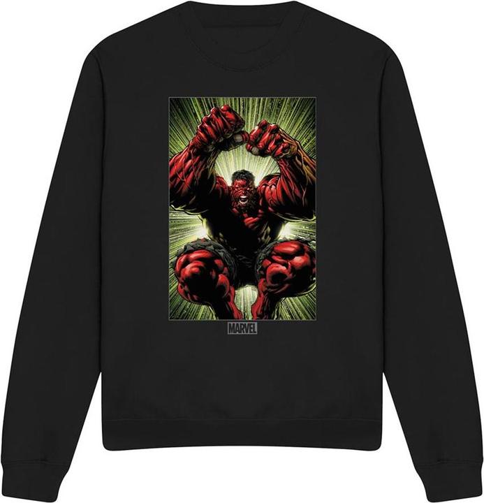 Sweatshirt (XL)