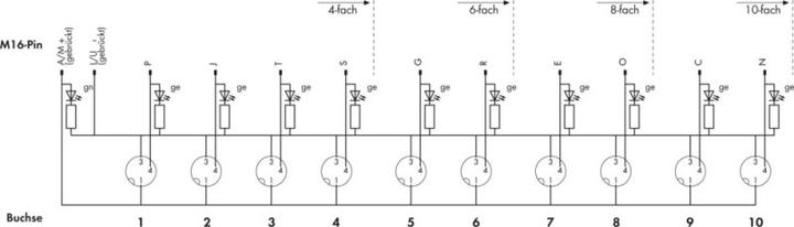 Produktbild Wago Sensor/Aktorbox passiv M8-Vert (Verteiler)