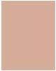 Actual product image Gabriella Salvete Soulmatte Hyaluronic Foundation (03C Beige Cold)