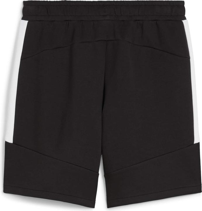 Actual product image Puma teamEVOSTRIPE Shorts (L)