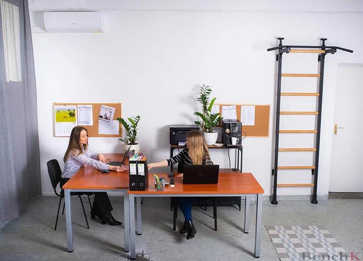 Produktbild BenchK Sprossenwand 521B mit Klimmzugstange