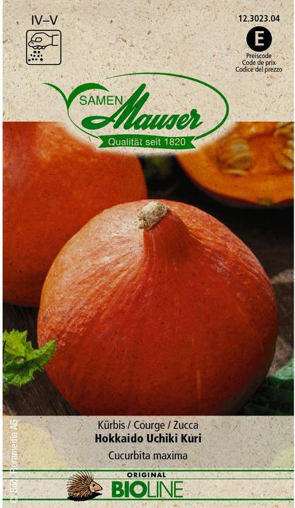 Produktbild Samen Mauser BIO Kürbis Hokkaido Uchiki Kuri (Gemüsesamen)