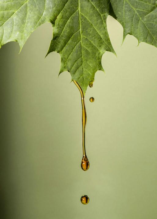 Image du produit KoRo Bio Ahornsirup