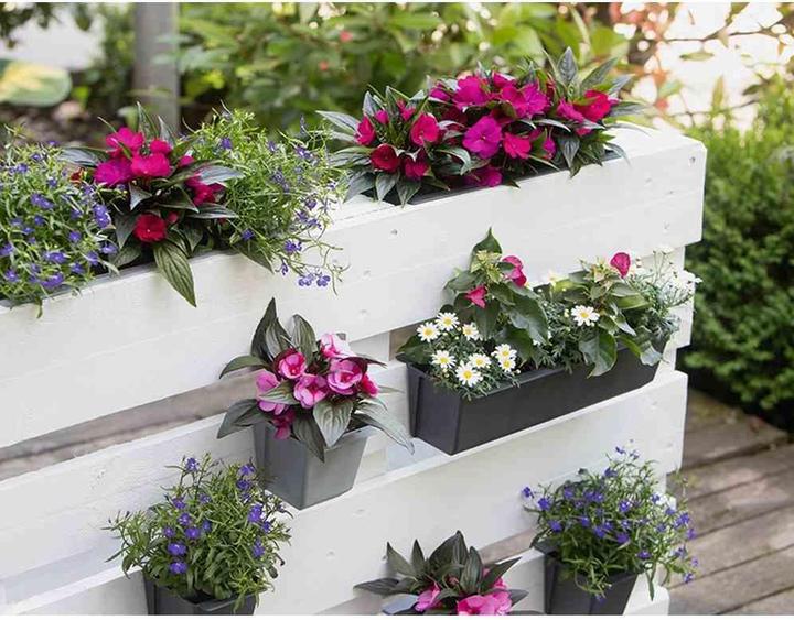 Image du produit Geli Palettenblumenkasten Easy 37 x 10 x 10 cm anthrazit (10 cm)