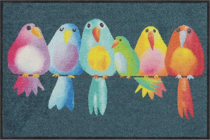Salonloewe Fussmatte Rainbow Birds 50 cm x 75 cm (50 x 75 cm)