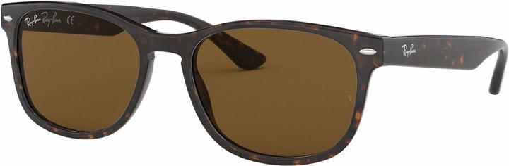 Ray Ban RB2184