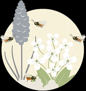 Immagine prodotto Wildbiene BeeHome Classic (Ape)