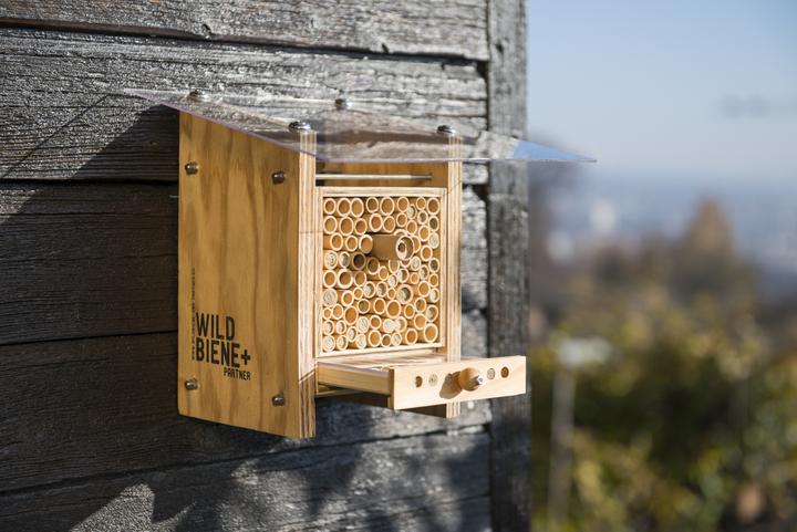 Image du produit Wildbiene BeeHome Observer (Abeille)