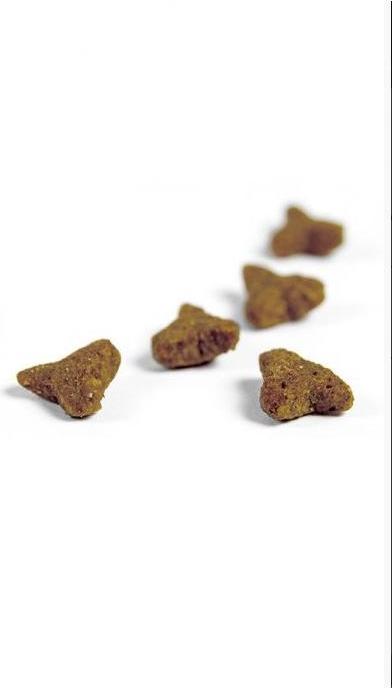 Produktbild Josera SensiCat -Trockenfutter (Adult, 1 Stk., 2000 g)