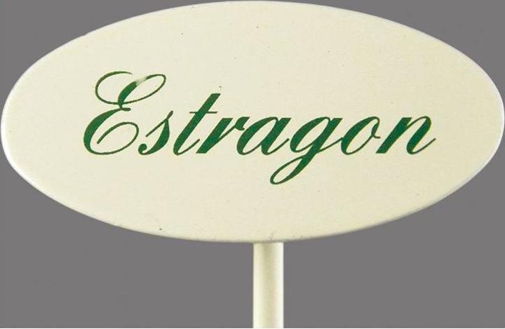 Gewürzstecker Estragon 20 cm (20 cm)