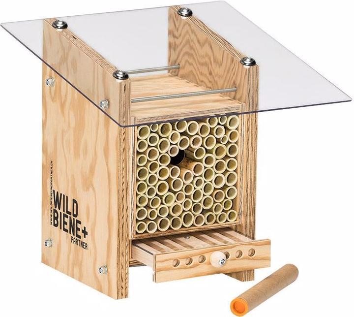 Wildbiene BeeHome Observer (Ape)
