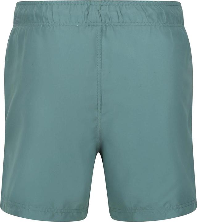 Produktbild Regatta Mawson III Kurze Hose (XXL)
