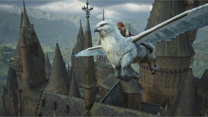 Image du produit WB Hogwarts Legacy (Switch 2, DE)
