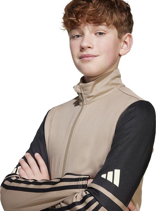 Actual product image adidas Squadra 25 Kids training jacket (176)