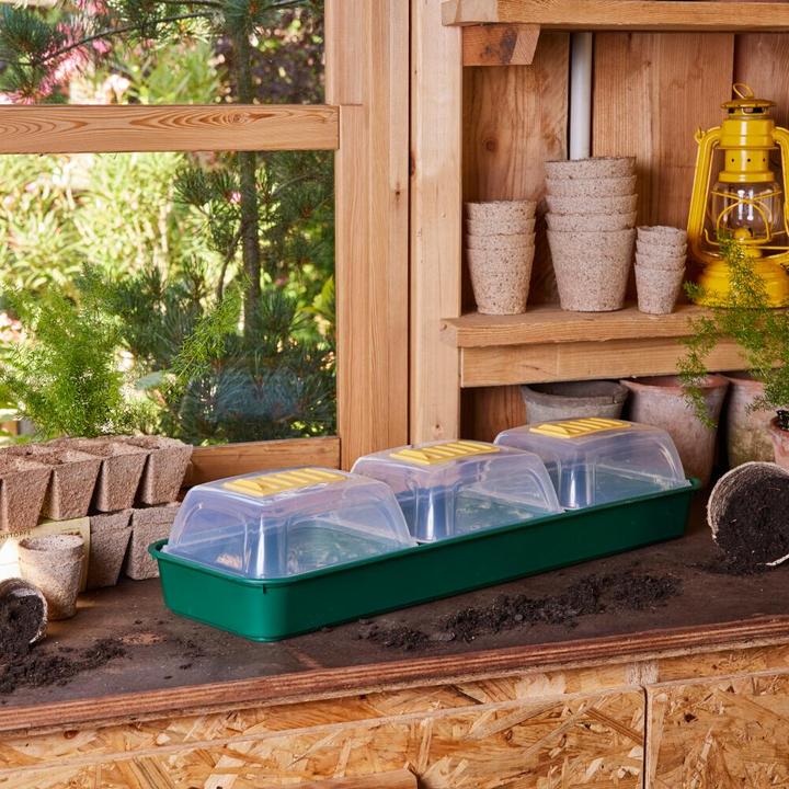 Image du produit Siena Garden Serre d'intérieur