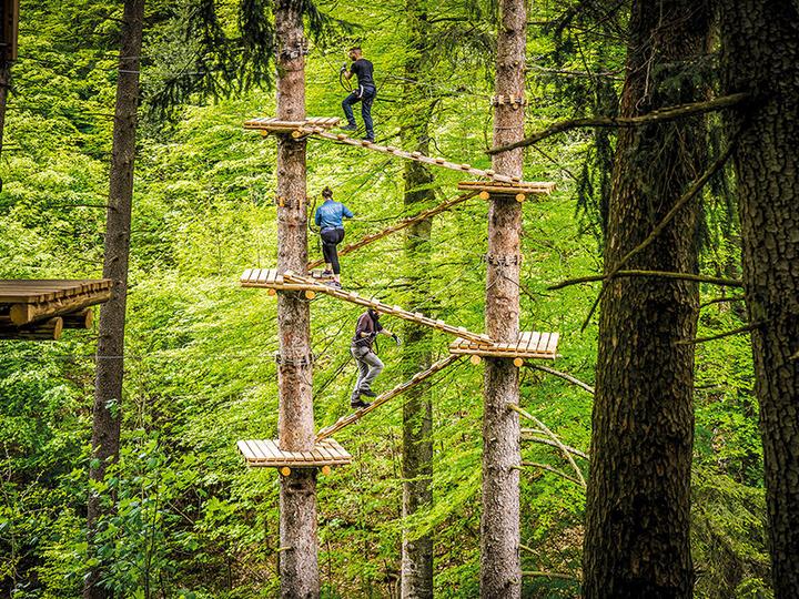Actual product image Smartbox Plein air activity in Interlaken: access to 9 accrobranche courses for 2 adults with briefing (2 pers.)