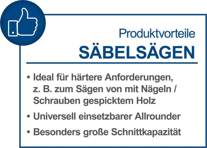 Immagine prodotto Scheppach BC-RS250-X sega alternativa a batteria (fai da te)