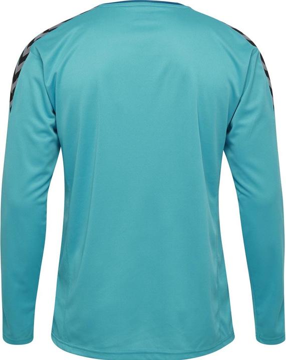 Actual product image hummel Authentic Kids Poly Jersey L/S (116)