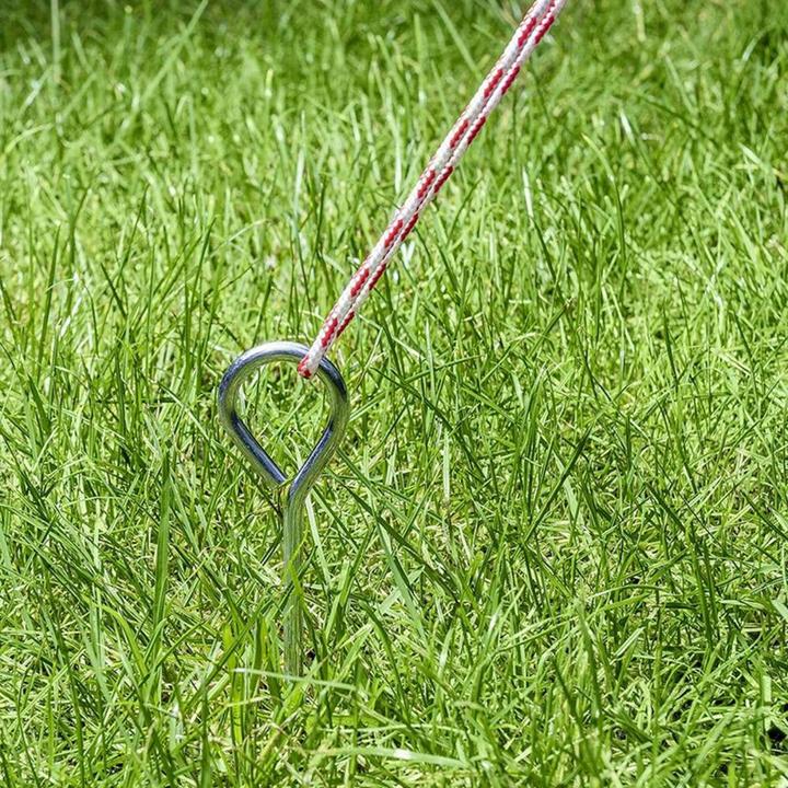 Actual product image ProPlus Tent peg 10 pieces in polybag