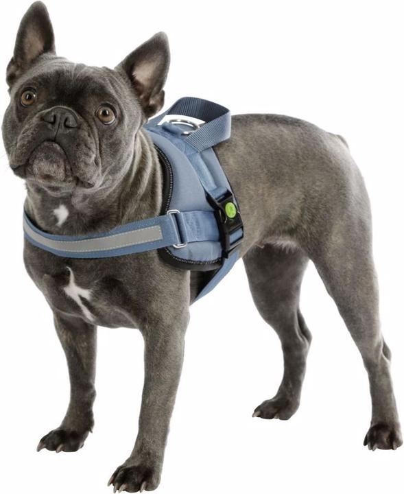 Produktbild Kerbl Hundegeschirr Maestro 20 (Hund, Allgemein)