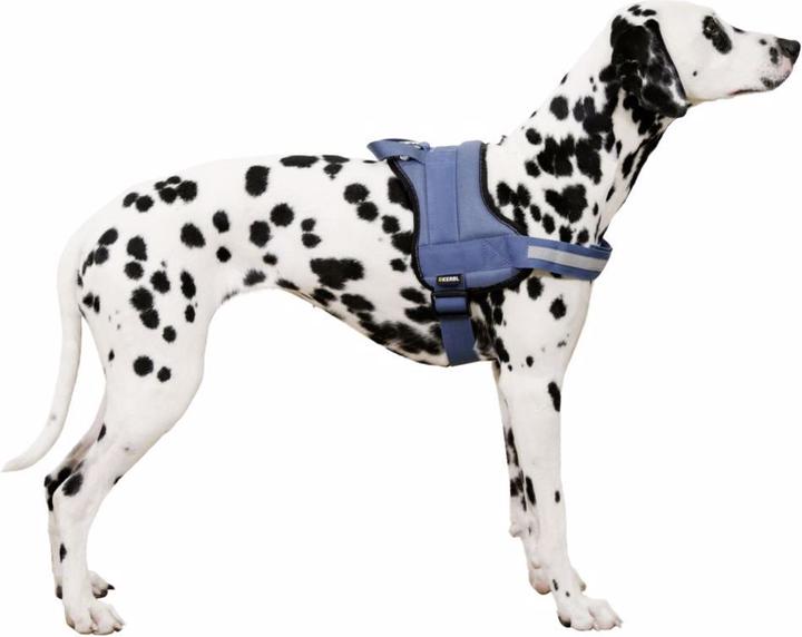 Produktbild Kerbl Hundegeschirr Maestro 20 (Hund, Allgemein)