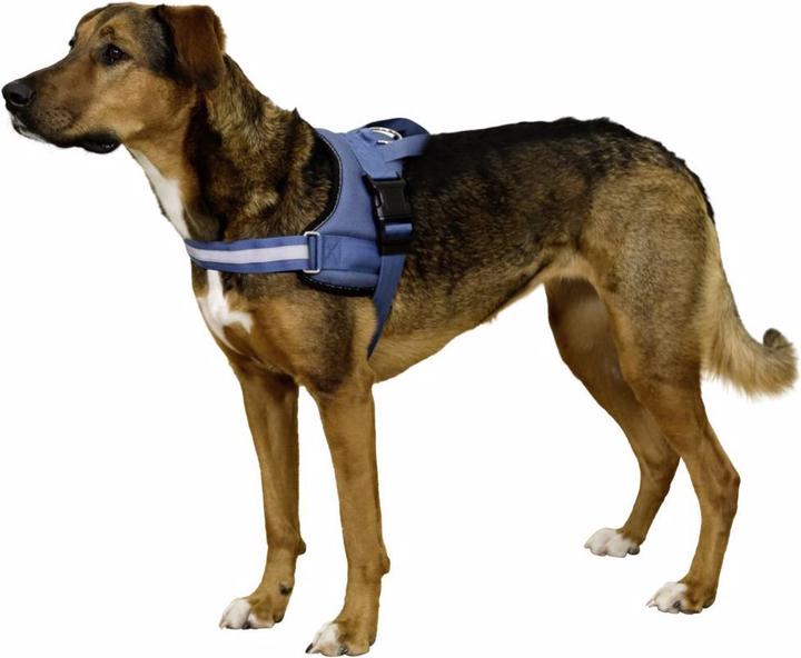 Produktbild Kerbl Hundegeschirr Maestro 20 (Hund, Allgemein)