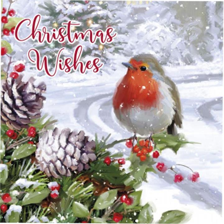 Produktbild Eurowrap Rotkehlchen Weihnachtskarte Seasons Greetings 12erPack Karton