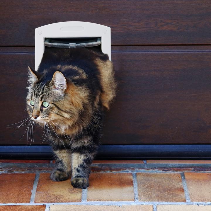 Produktbild Relaxdays Haustierklappe (Magnetische Katzenklappe)