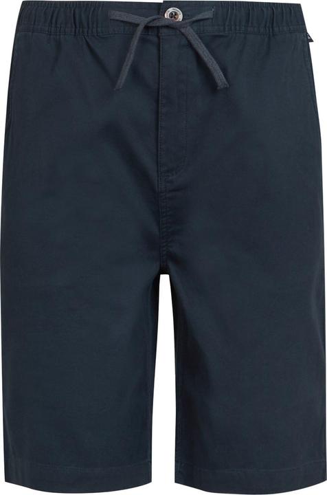 Regatta Aldan Shorts (42)