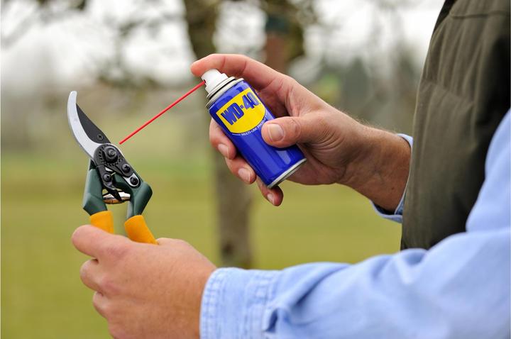 Immagine prodotto WD-40 Classico (100 ml)