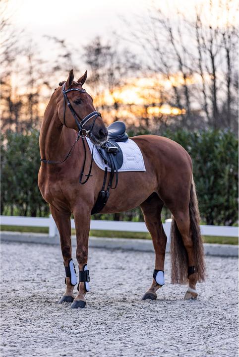 Immagine prodotto Imperial Riding Lovely