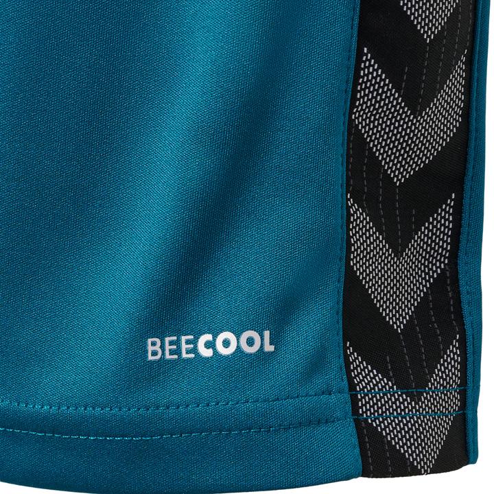 Image du produit hummel Hmlauthentic Pl Shorts Kids (176)