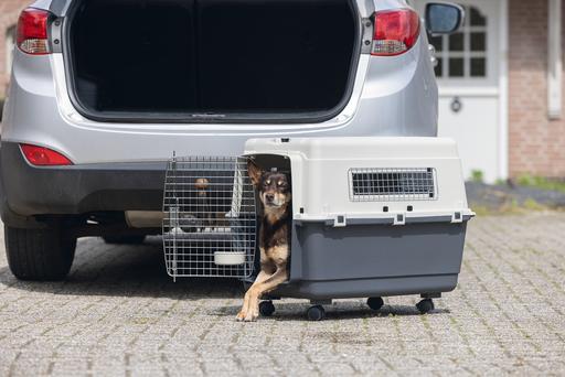Produktbild Karlie Nomad (Hund, Katze, Abschliessbar)