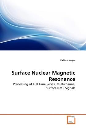 Actual product image Surface Nuclear Magnetic Resonance (Fabian Neyer, 2011)