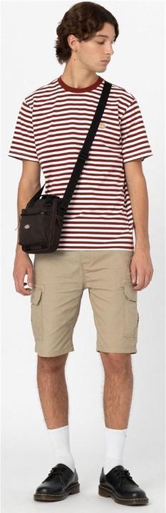 Immagine prodotto Dickies Pantaloncini Millerville - 125375 (M, L, W33)