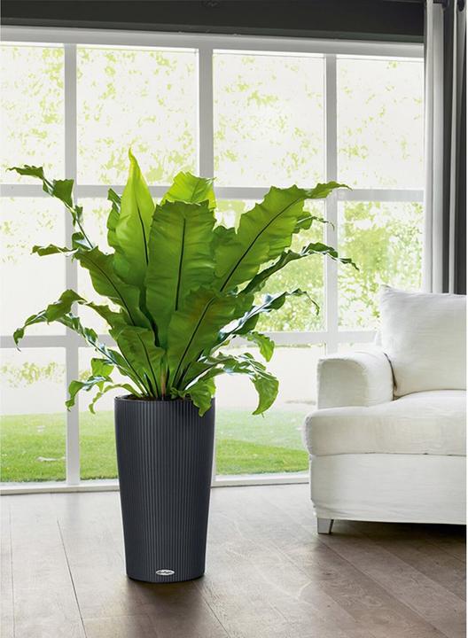 Actual product image Lechuza Cilindro 32 (32 cm)