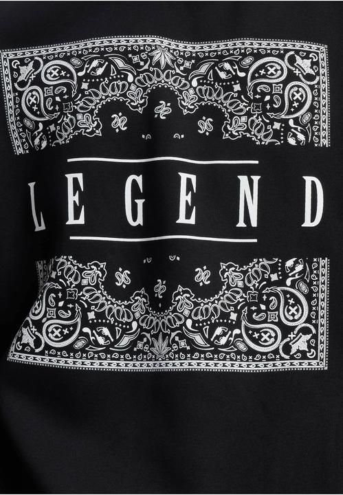 Immagine prodotto Dangerous DNGRS DNGRS Legend Hoody - 187275 (4XL)