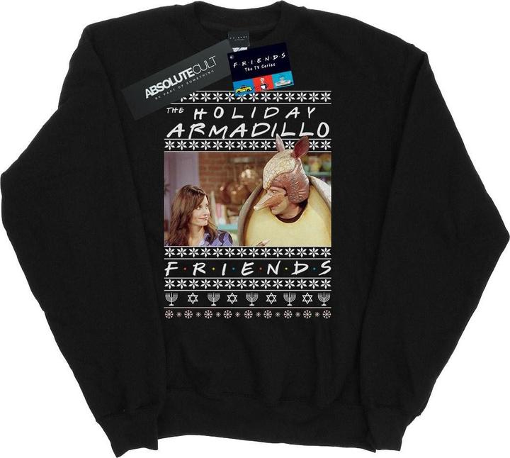 Friends Fair Isle Holiday Armadillo Sweatshirt (M)
