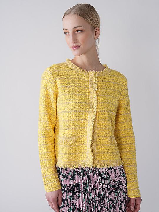 Image du produit Betty Barclay Cardigan en tricot avec franges (42)