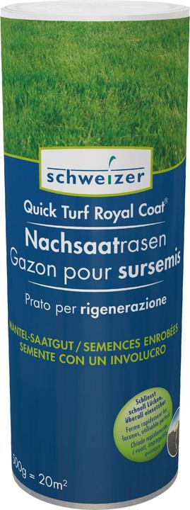 Schweizer Rapido cappotto reale del tappeto erboso (Risemina del prato)