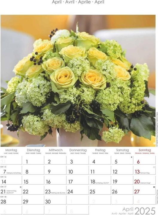 Produktbild Alpha Edition Rosenträume 2025 Bildkalender, 23,7x34cm, Wandkalender mit Platz für Notizen und (Harter Einband, Deutsch, Italienisch, Französisch, Englisch)