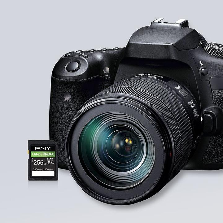 Actual product image PNY Elite X-Pro 60 (256 GB, SDXC, U3, UHS-II)
