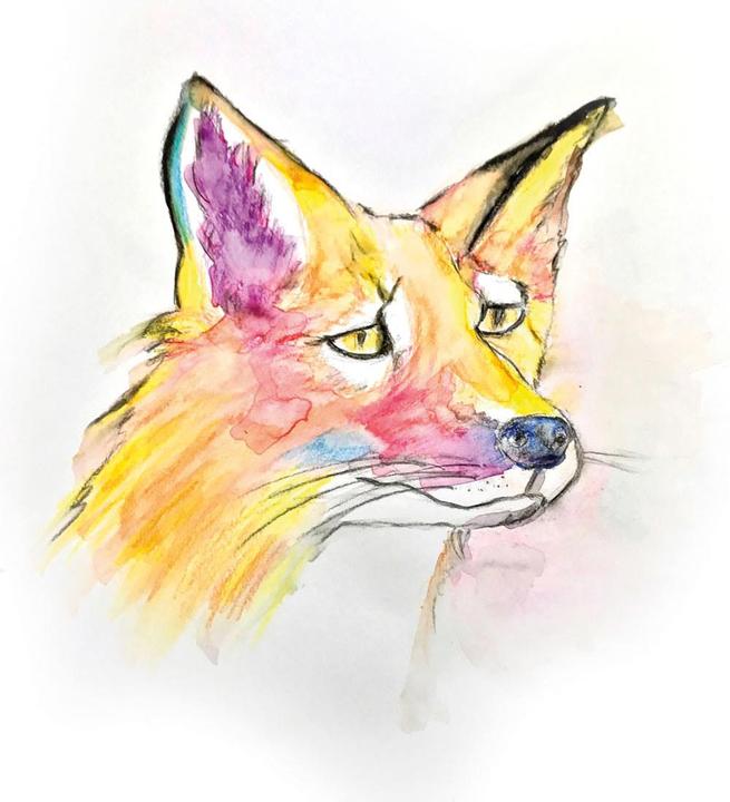Image du produit Bic Kids Stylos à pointe de fibre Visaquarelle (Multicolore, 10 x)