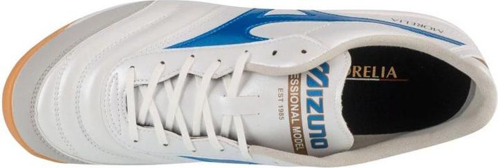 Produktbild Mizuno Morelia Sala Pro In (47)