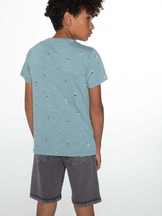 Actual product image Protest Shorts Orlin (164)