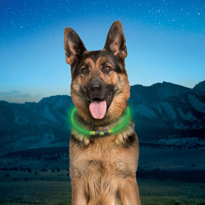 Produktbild Nite Ize NiteHowl Rechargeable LED Safety Necklace - Green (Hund)