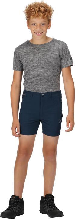 Actual product image Regatta Highton Shorts (146)