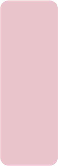 Immagine prodotto Niimbot Adesivi termici 14x40 160 pz. (Rosa)